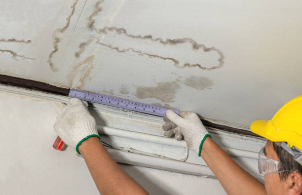 Reliable Mold Remediation contractor in Cedar Grove, WI by Local Water Damage Repair